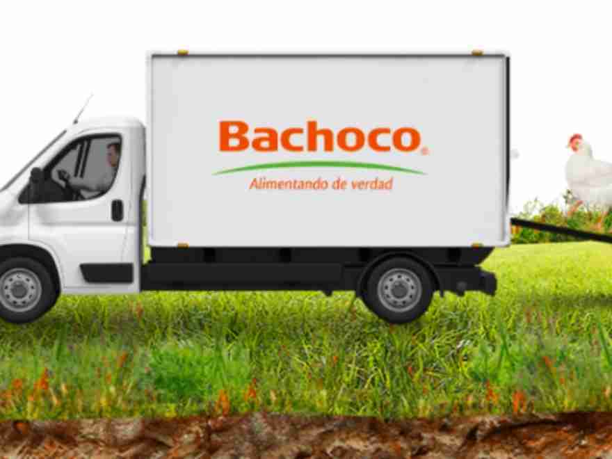 Bachoco nuevas vacantes de trabajo a nivel nacional diferentes areas