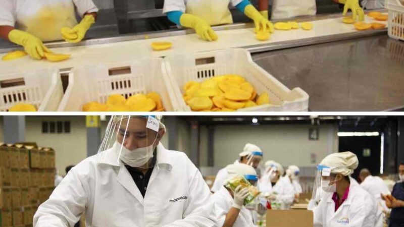 Empleo personal de Armado y etiquetado de diferentes productos
